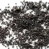 Graines de vanille Bourbon noires de Madagascar