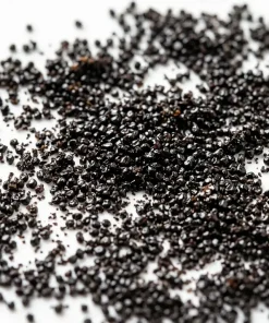 Graines de vanille Bourbon noires de Madagascar