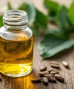 Huile de moringa