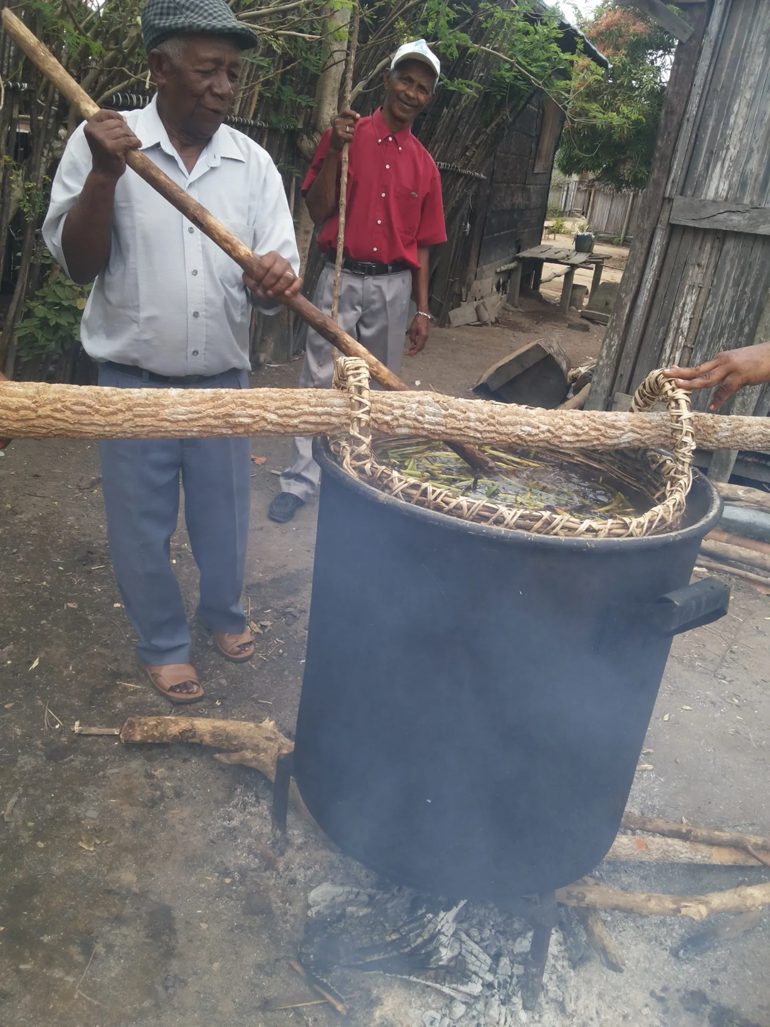 Préparation traditionnelle de la vanille à Madagascar – pollinisation manuelle, échaudage, affinage – My Spices Land